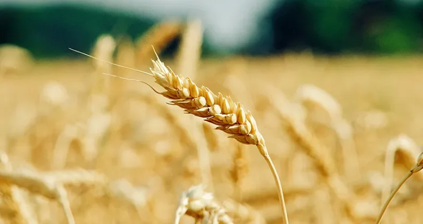 There are many variations of passages of Lorem Ipsum available, but majority have suffered teration in some form, by injected humour, or randomised words which don't look even slight believable. If you are going to use a passage of Lorem Ipsum.