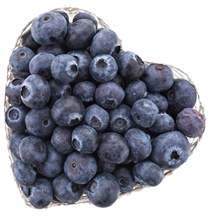 Forms of Blueberries