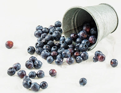 Forms of Blueberries