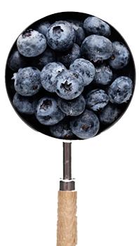 Forms of Blueberries