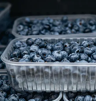 Forms of Blueberries