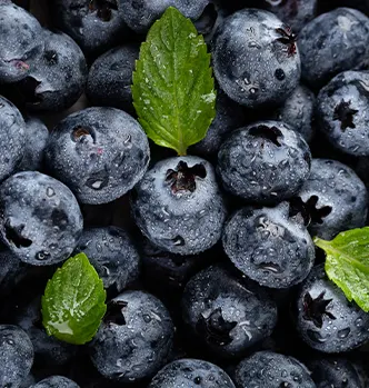 Forms of Blueberries