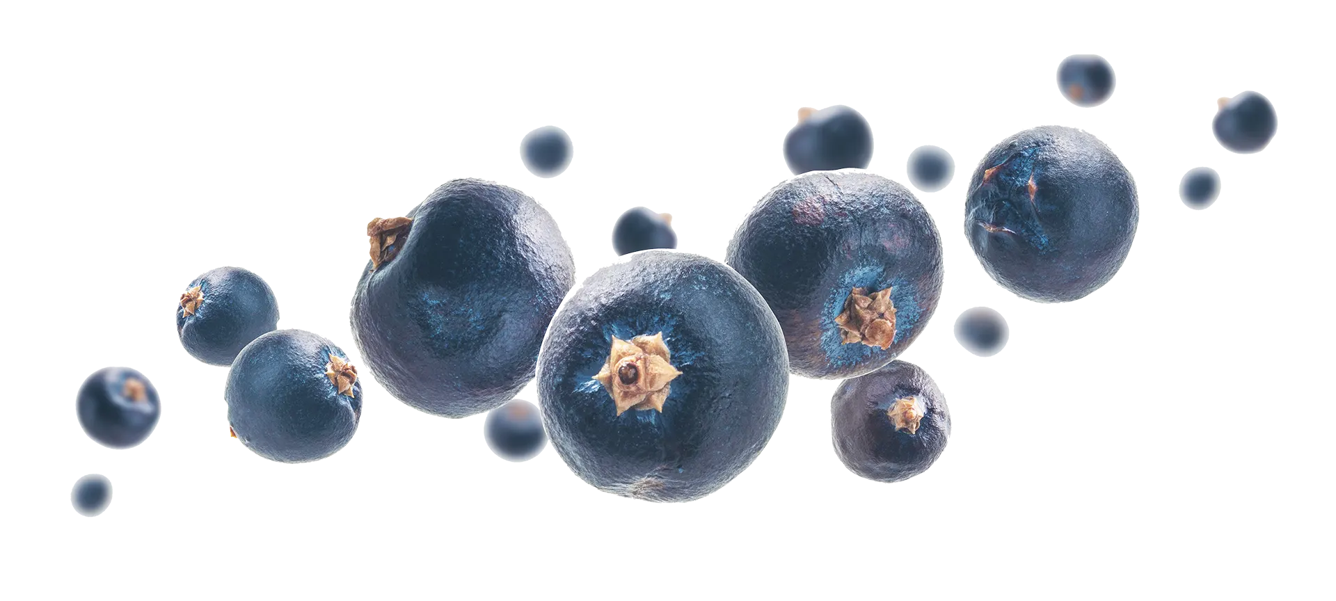Forms of Blueberries